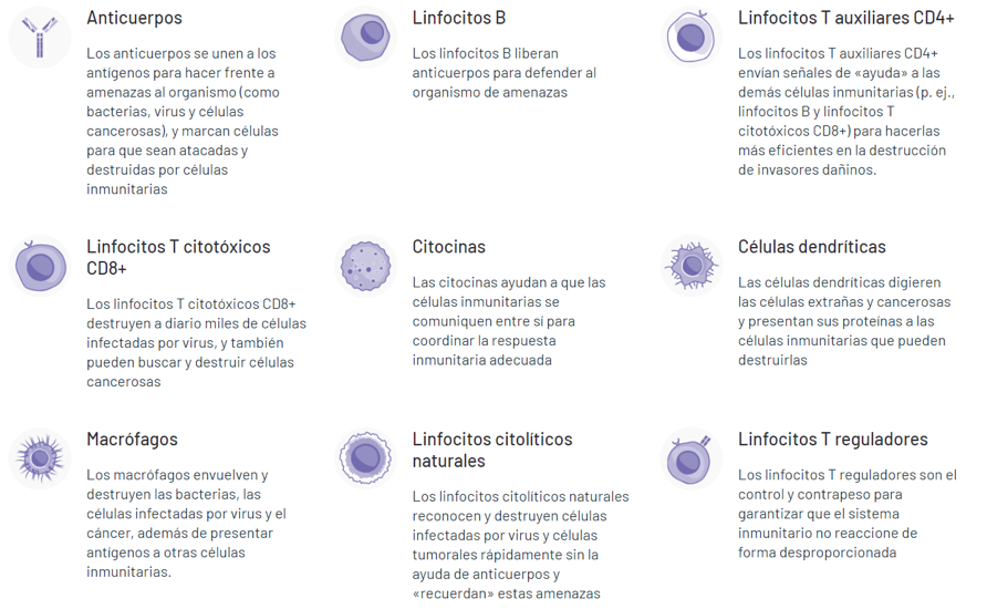 Inmuoterapia Sist.